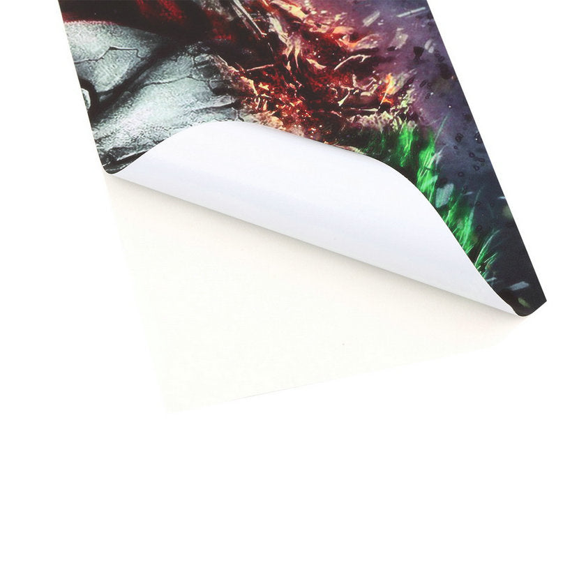 shazol - Skin pour 2 manettes et Playstation 4 - Shazol - 